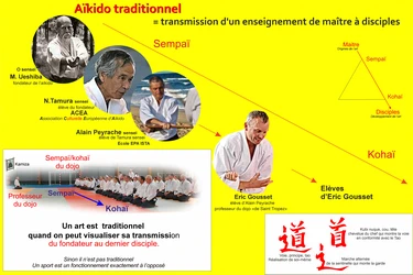  L'aïkido traditionnel transmission O Sensei Usehiba Tamura sensei Alain Peyrache sensei Gousset